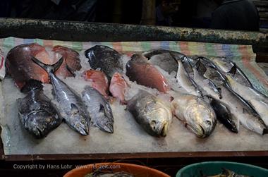 Fish Market Auction, Cochin_DSC5999_H600